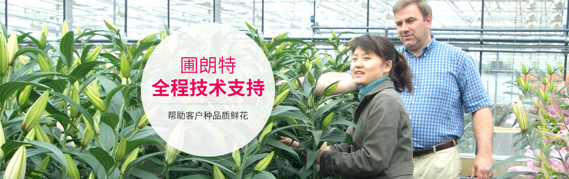 圃朗特全程技術支持